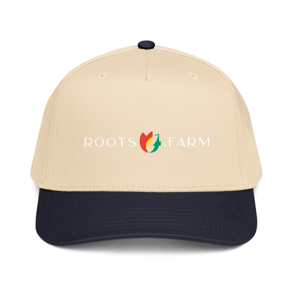 5 Panel Mid-Profile Baseball Cap