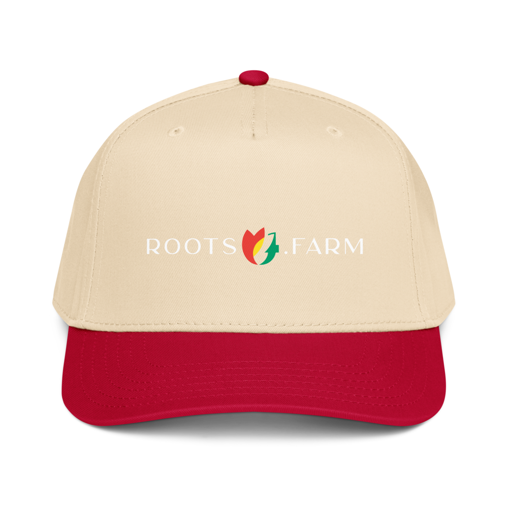 5 Panel Mid-Profile Baseball Cap