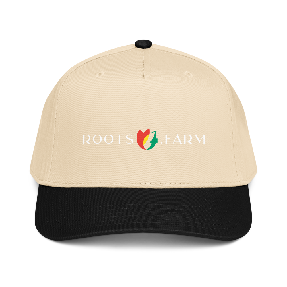 5 Panel Mid-Profile Baseball Cap