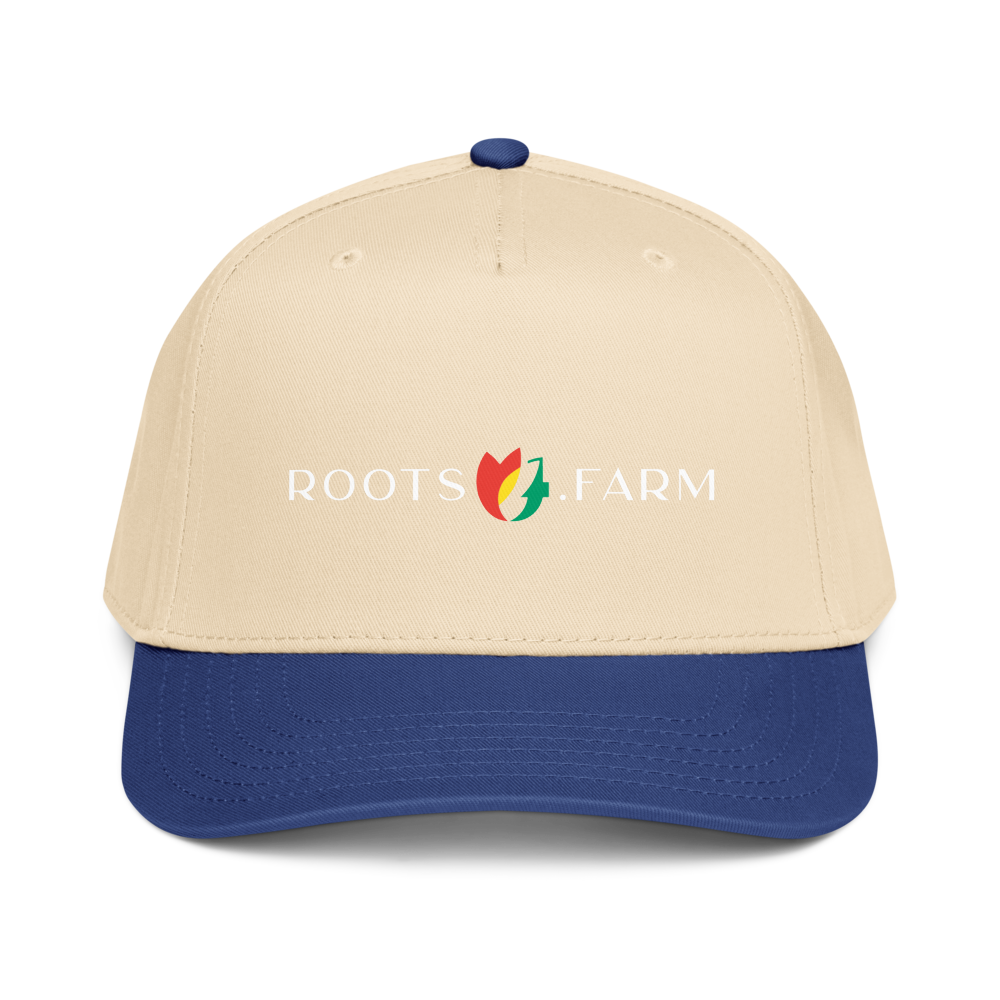 5 Panel Mid-Profile Baseball Cap