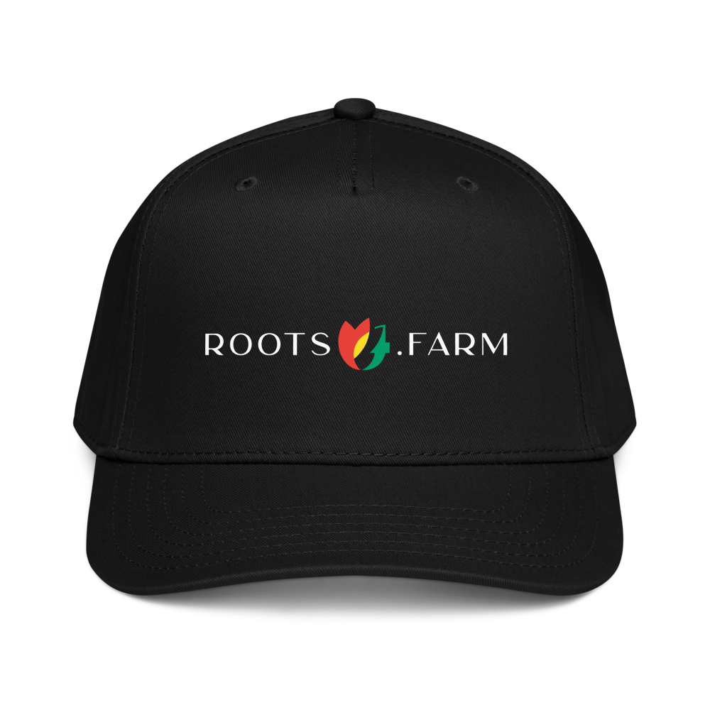 5 Panel Mid-Profile Baseball Cap